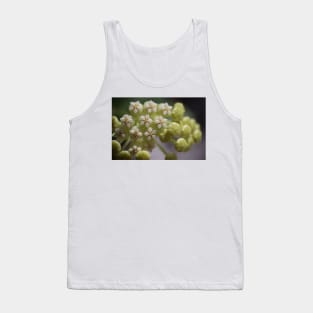 Hoya Pachyclada Flowers and Buds Tank Top